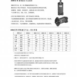 BMM系列擺線液壓馬達